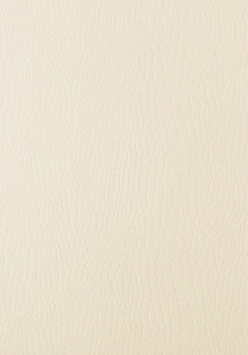 800902_www.asan.com.pl