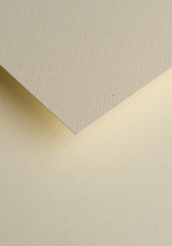 800889_www.asan.com.pl