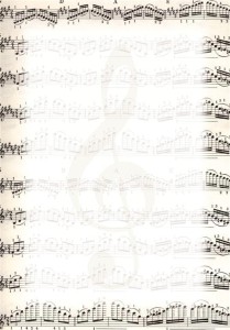 Dyplom NUTY - opk 25 szt A4 - 170g/m2