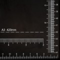 300150_www.asan.com.pl