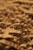 packaging-3981072-free-867x1300.jpg