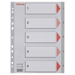 Przekładki Esselte z PP -  format A4 - 5 zadrukowanych numerycznie indeksów (1-5) w opakowaniu