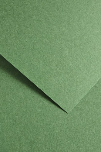 Karton ozdobny 220g/m2 EARTH ZIELONY 20 arkuszy A4 www.asan.com.pl