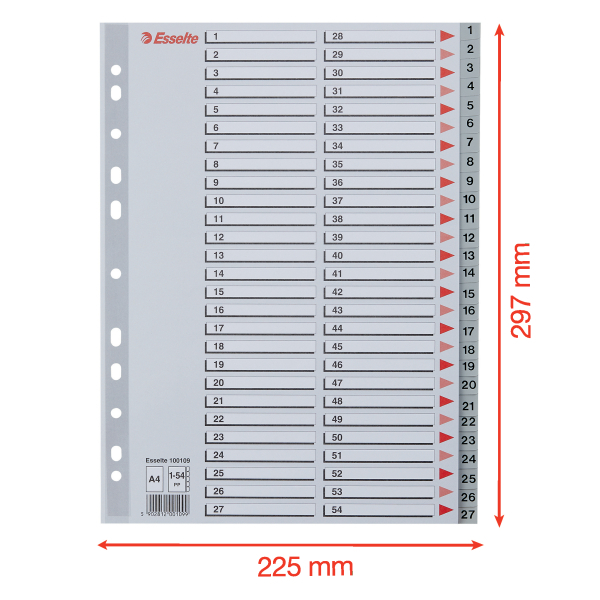Przekładki na dokumenty Esselte - 54 zadrukowane numerycznie indeksy (1-54) format A4 / opk 54szt - szary www.asan.com.pl