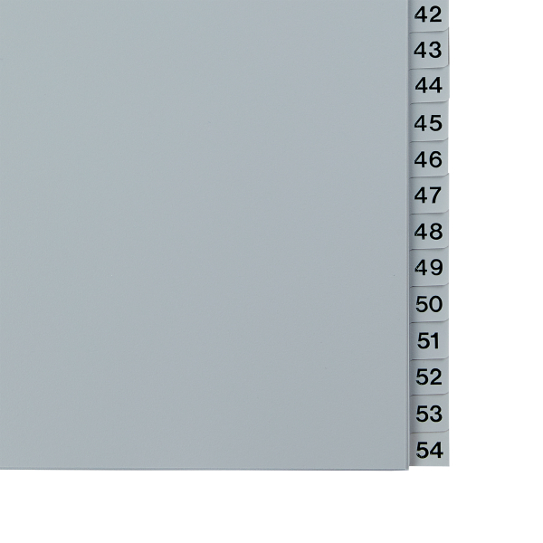 Przekładki na dokumenty Esselte - 54 zadrukowane numerycznie indeksy (1-54) format A4 / opk 54szt - szary www.asan.com.pl