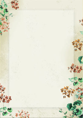 234510_www.asan.com.pl.jpg