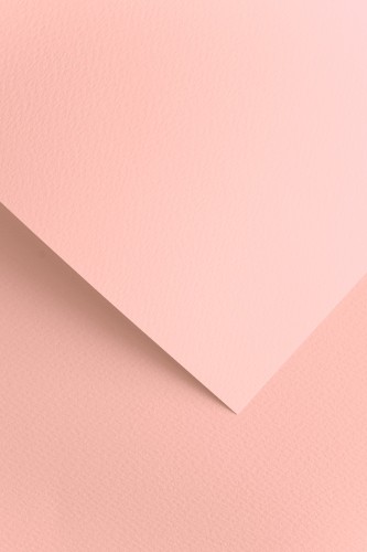 204817_www.asan.com.pl.jpg