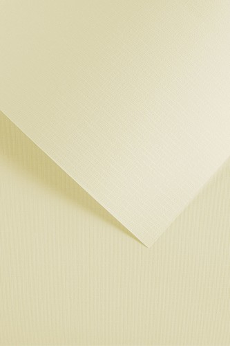 204212_www.asan.com.pl.jpg