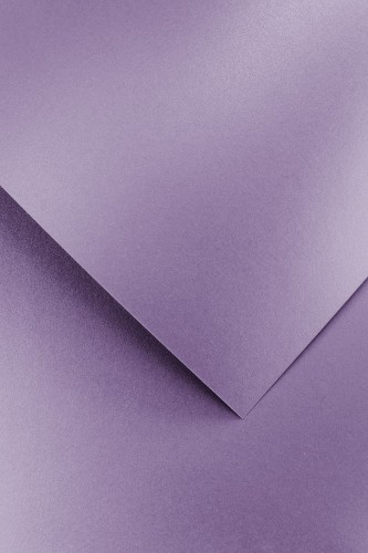 205458_www.asan.com.pl.jpg