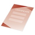 41666E_www.asan.com.pl.jpg