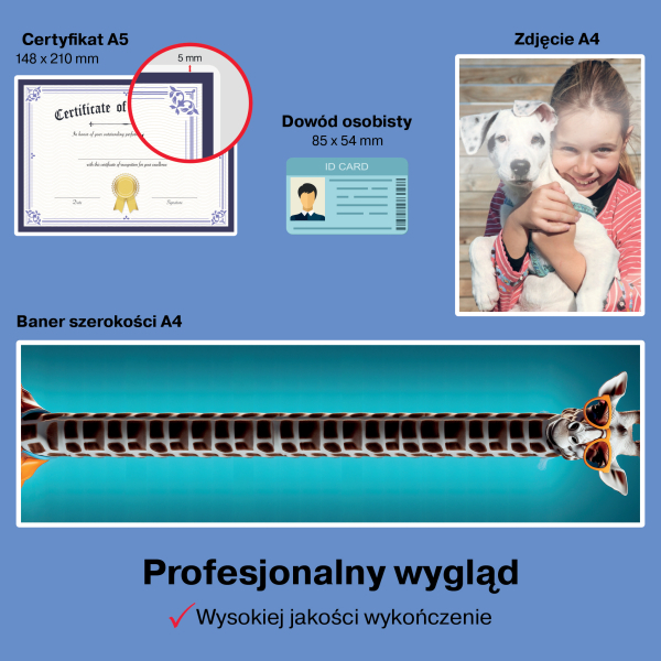 4410076_www.asan.com.pl.jpg