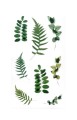254076_www.asan.com.pl.jpg