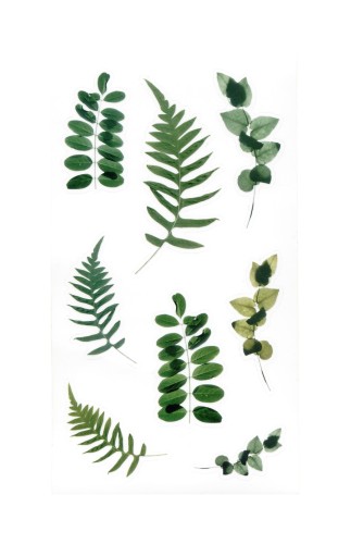 254076_www.asan.com.pl.jpg