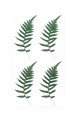 254076_www.asan.com.pl.jpg