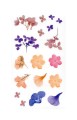 254075_www.asan.com.pl.jpg