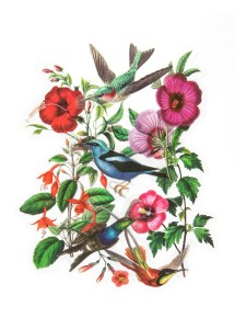 Naklejki transparentne Kolibry i Hibiskus 12 sztuk opakowanie -  półprodukt dekoracyjny