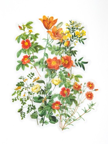 254112_www.asan.com.pl.jpg