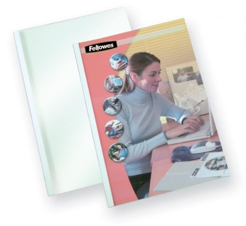 fellowes standing.jpg