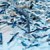 Dahle 50464-12696