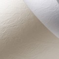 Karton ozdobny 230g/m2 SKÓRA BIAŁY 20 arkuszy A4 www.asan.com.pl